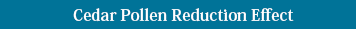 Cedar Pollen Reduction Effect