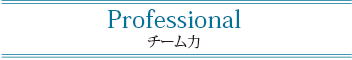 Professional チーム力