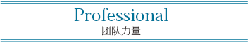 Professional 团队力量